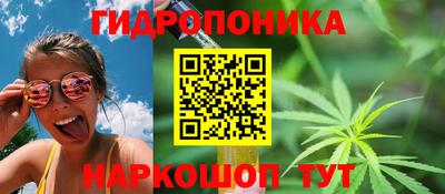 дмт Бузулук