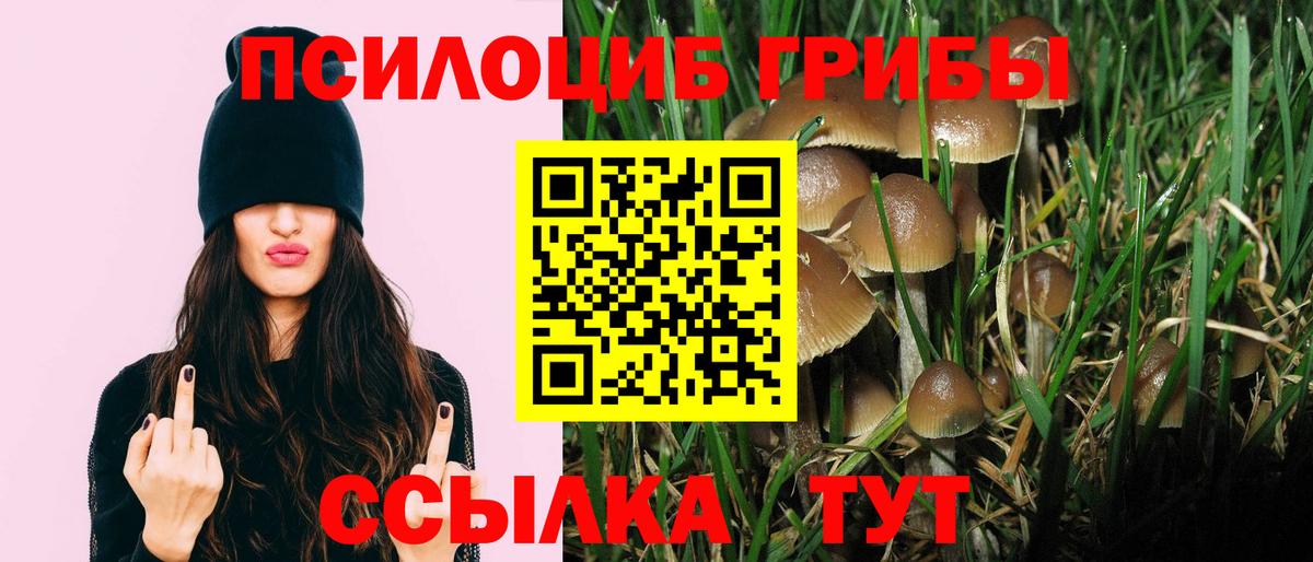 Псилоцибиновые грибы GOLDEN TEACHER  Вход с VPN  Кропоткин 